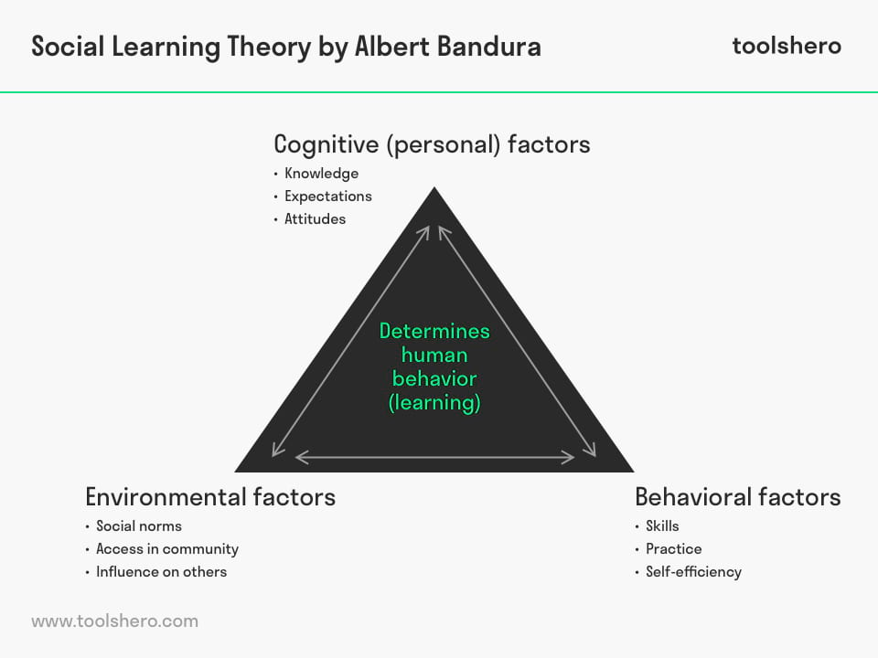 Social Learning Theory Bandura Definition Explanation Toolshero