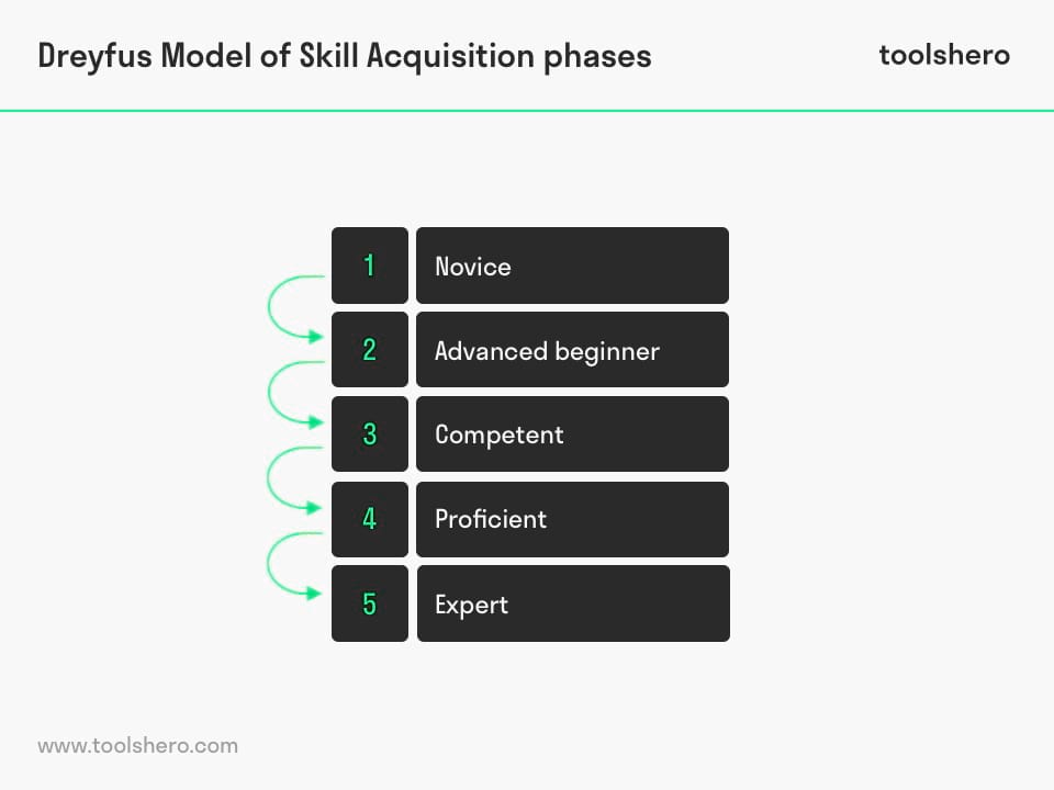 dreyfus model of skill acquisition phases - Toolshero