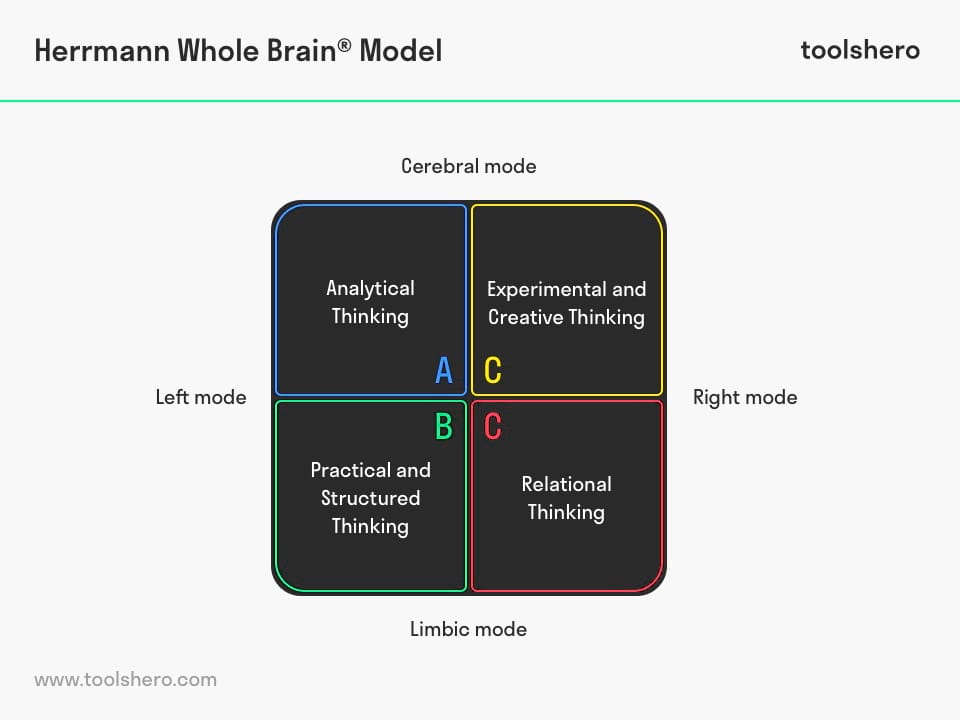 Hermann Whole Brain Model styles - Toolshero
